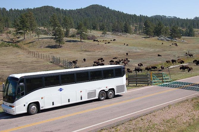 Mount Rushmore and Black Hills Bus Tour With Live Commentary - Meeting Details