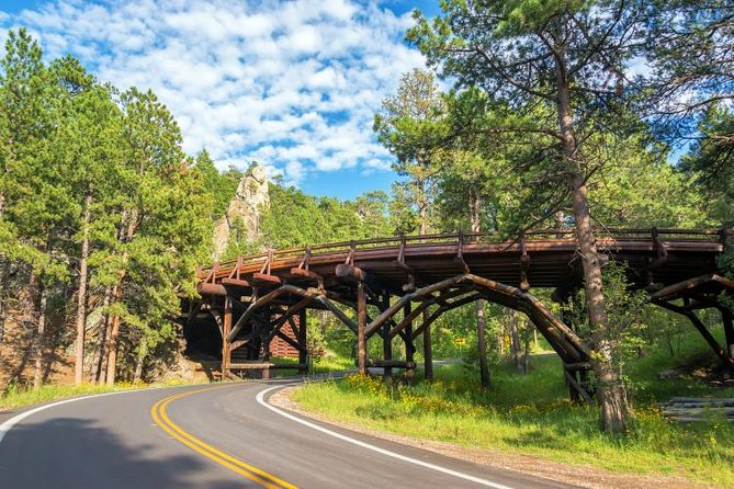 Mount Rushmore and Black Hills Bus Tour With Live Commentary - Reviews