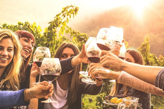 Mount Tamborine Winery Tour with Gourmet lunch - Who Should Consider This Tour?