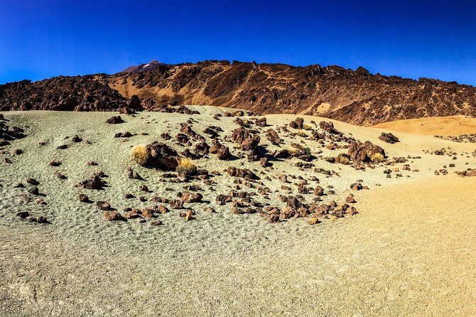 Mount Teide and Tenerife North With 5 Course Tasting Menu Private Tour - Culinary Experience