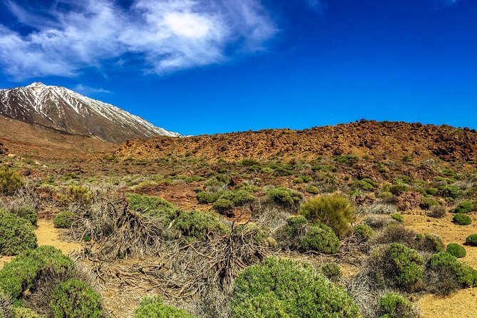 Mount Teide and Tenerife North With 5 Course Tasting Menu Private Tour - Meeting Point