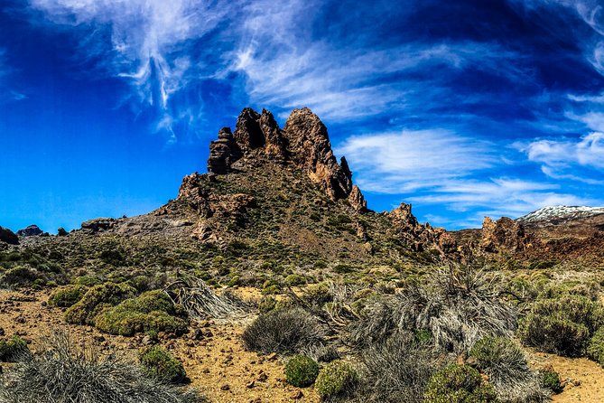 Mount Teide and Tenerife North With 5 Course Tasting Menu Private Tour - Dietary Requirements
