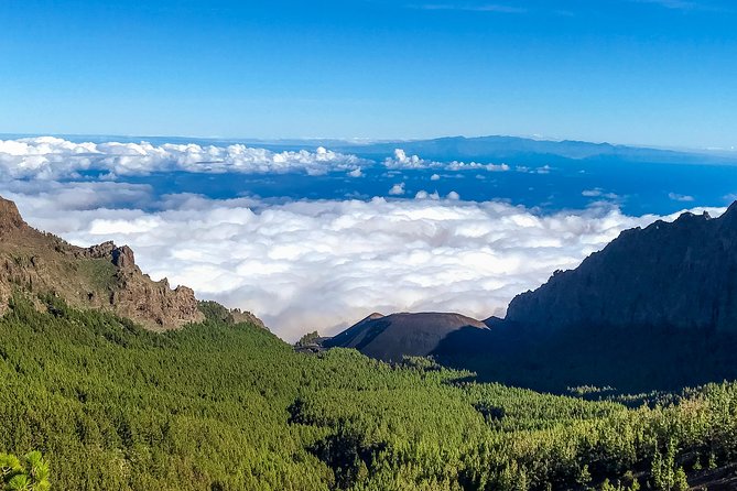 Mount Teide and Tenerife North With 5 Course Tasting Menu Private Tour - Accessibility Information