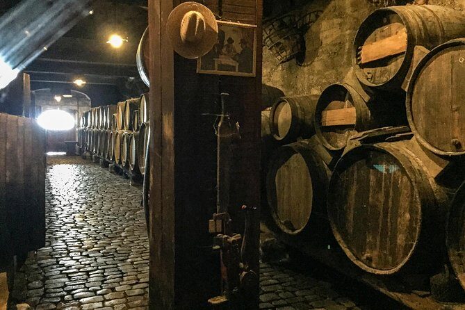 Mount Teide and Tenerife North with Food & Wine Tasting Private Tour - Returning and Reflections