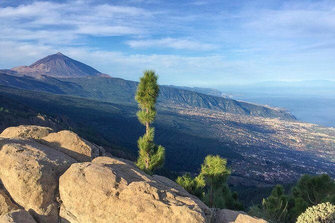 Mount Teide and Tenerife North with Food & Wine Tasting Private Tour - What Travelers Are Saying