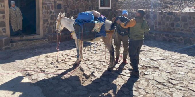 Mount Toubkal: 2 Day Trek From Marrakech With Local Guide - Customer Ratings and Reviews