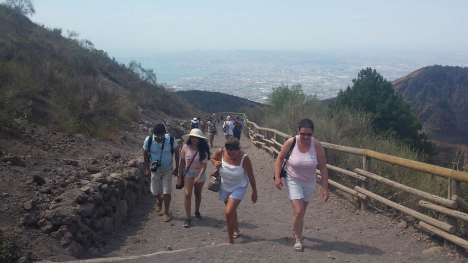 Mount Vesuvius 4-Hour Volcano Tour With Wine Tasting - Panoramic Views of the Bay