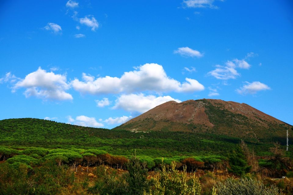 Mount Vesuvius 4-Hour Volcano Tour With Wine Tasting - Included Light Lunch and Wine