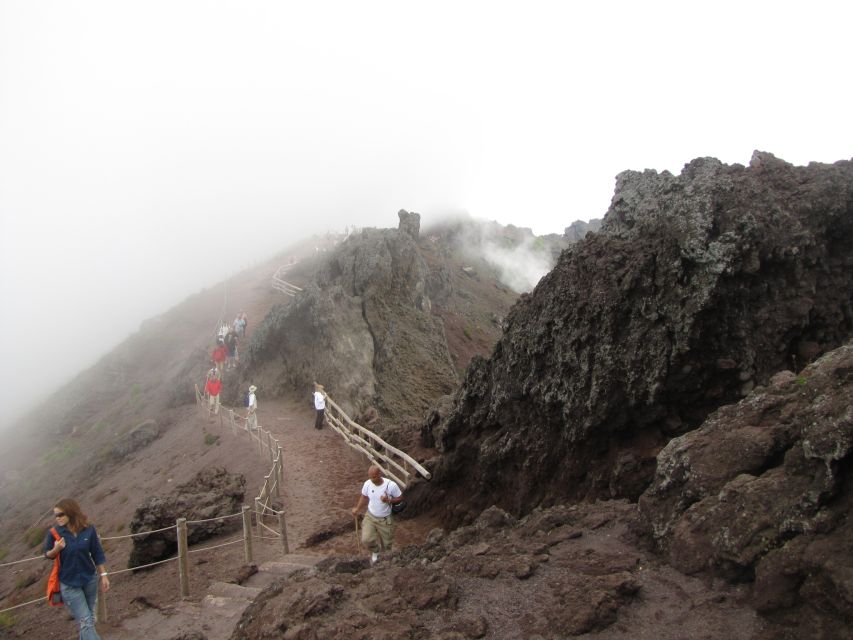 Mount Vesuvius 4-Hour Volcano Tour With Wine Tasting - Optional Meal and Gratuity Costs
