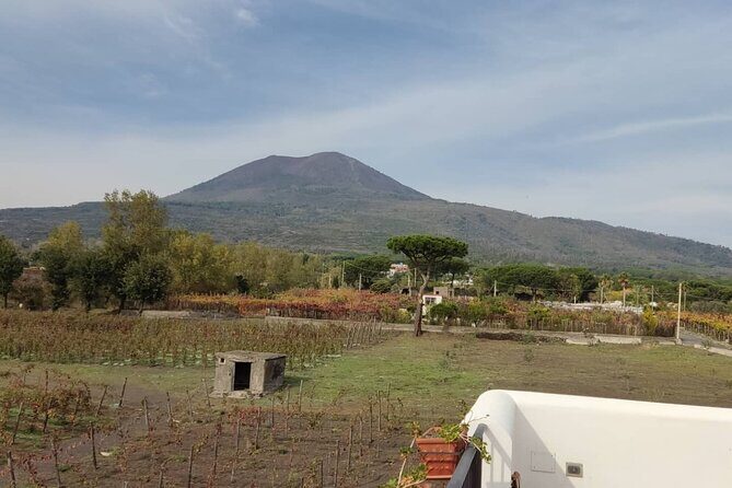Mount Vesuvius Half Day Private Tour - Final Thoughts