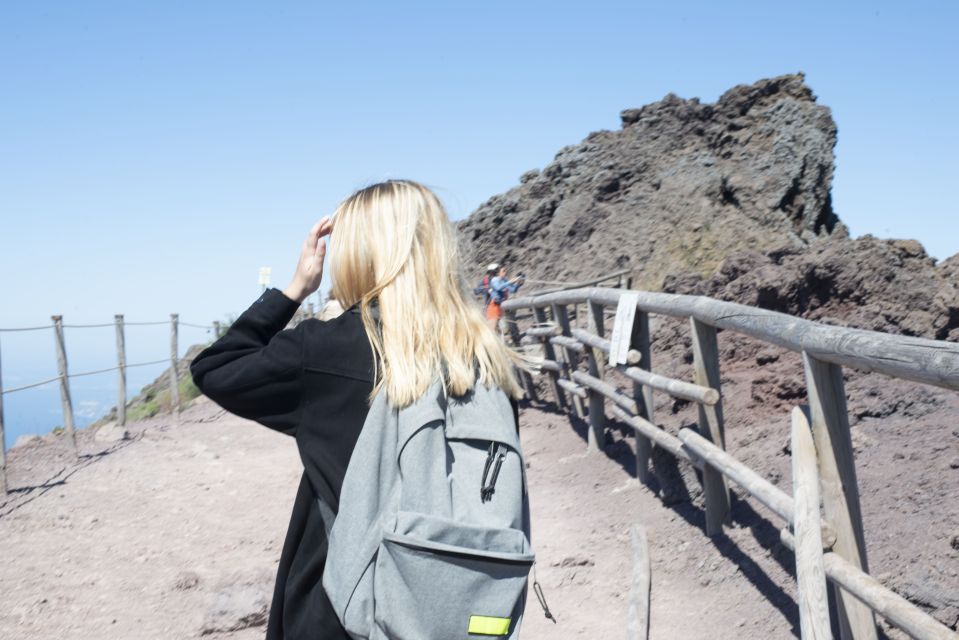 Mount Vesuvius: Skip-the-Line Ticket and Audio Guide - Highlights of the Visit