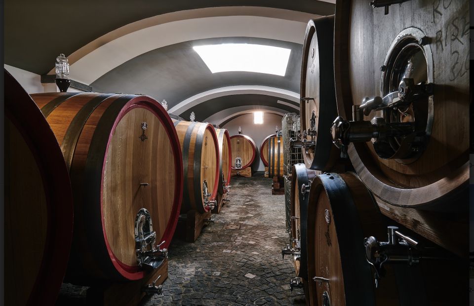 Mount Vesuvius: Vineyard Tour With Wine Tasting and Lunch - Important Information