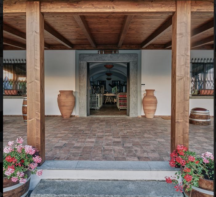 Mount Vesuvius: Vineyard Tour With Wine Tasting and Lunch - Booking Details