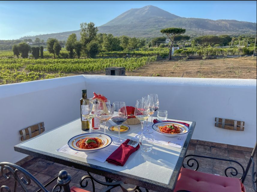 Mount Vesuvius: Vineyard Tour With Wine Tasting and Lunch - Recap