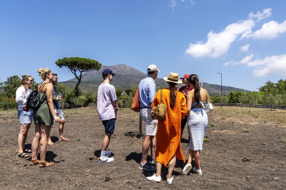 Mount Vesuvius: Wine Tasting Experience With Lunch Included - Logistics and Parking
