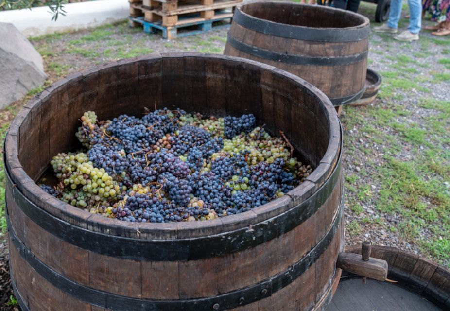 Mount Vesuvius: Wine Tasting Experience With Lunch Included - Frequently Asked Questions