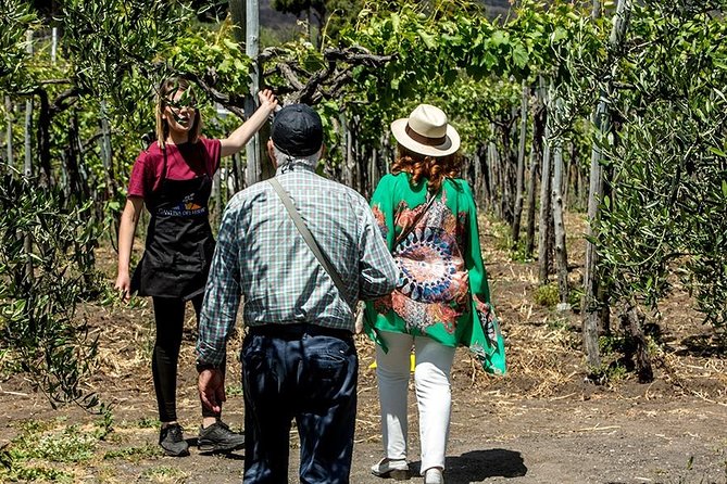 Mount Vesuvius & Wine Tasting With Lunch Private Tour From Amalfi Coast - Pricing and Booking Information