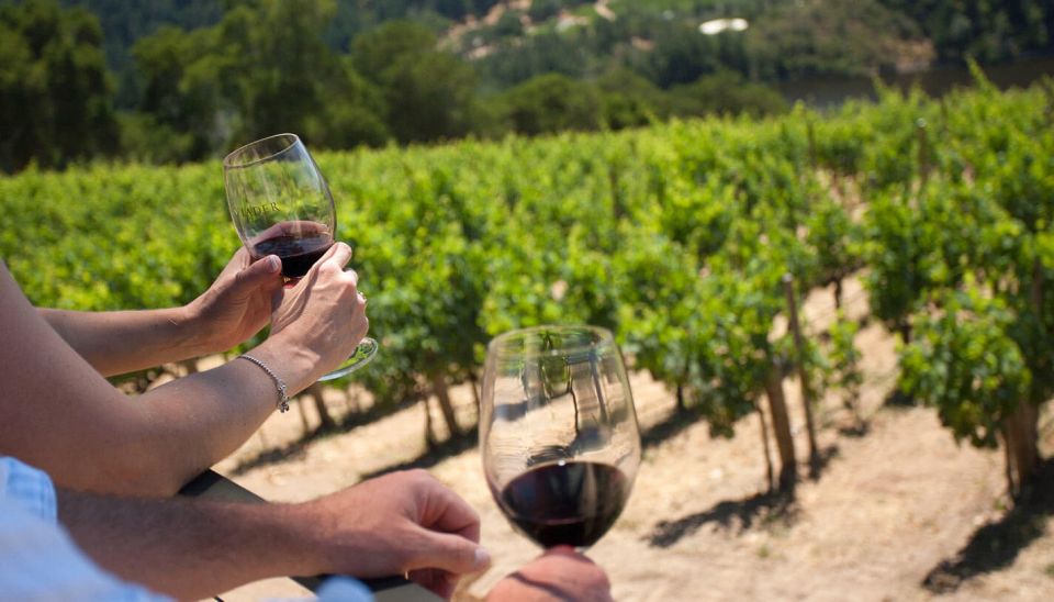Mount Vesuvius Wine Tour With Tastings and Lunch - Meeting Point