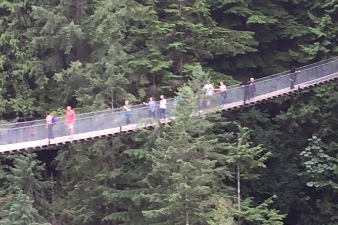 Mountain Adventure (Grouse Mountain and Capilano Suspension Bridge) - Highlights of Grouse Mountain