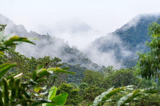 Mountain Bike: Quito to Mindo Cloud Forest - Full Day - Good To Know