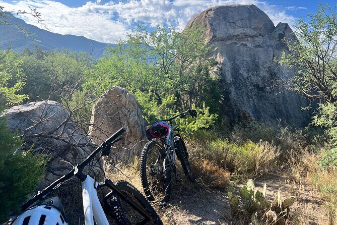 Mountain Bike Rentals - The Sum Up