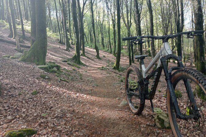 Mountain Bike Small Group Tour in San Sebastian - Authentic Experiences and Insights from Reviews