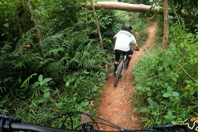 Mountain Bike Tour - Cairns - Introduction