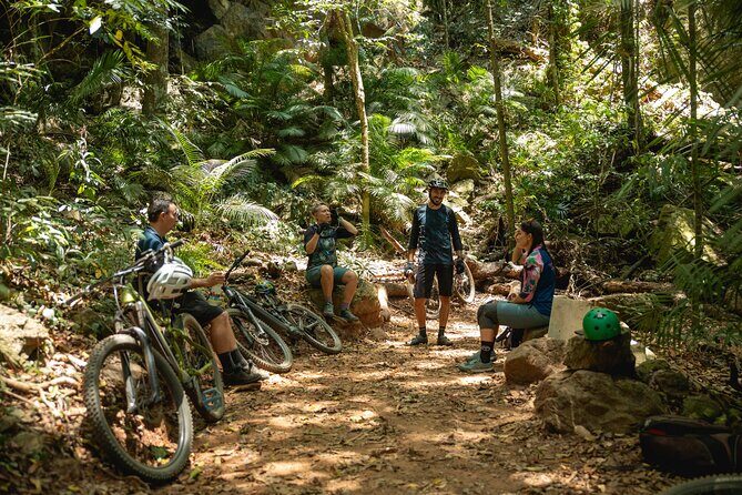 Mountain Bike Tour - Cairns - Analyzing the Value