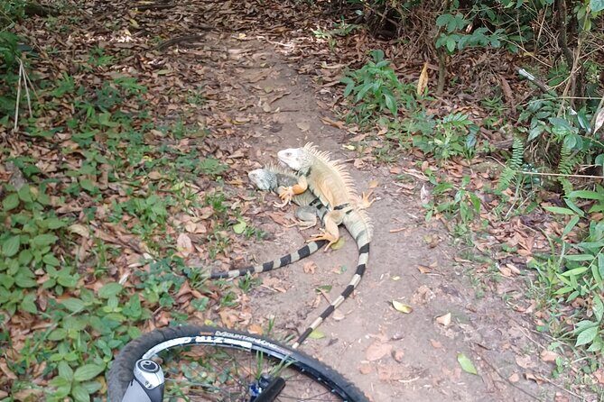 Mountain Bike tour to a Pristine Spring and Cave - Reviews and Authentic Feedback