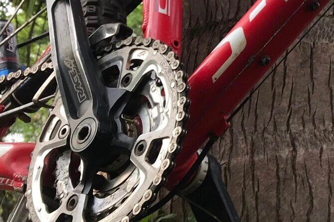 Mountain Bike Tours - Authenticity and Past Feedback