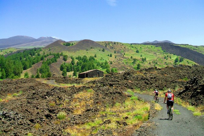 Mountain Biking Etna + Pick-Up From Catania - Safety and Accessibility Information