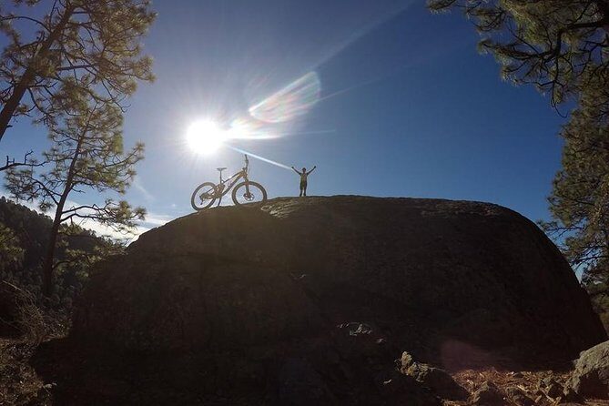 Mountain Biking Tour at La Primavera Forest - Exploring the Mountain Biking Tour at La Primavera Forest