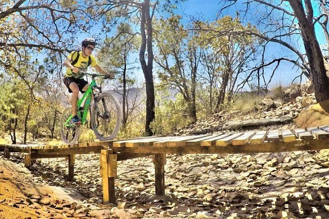 Mountain Biking Tour at La Primavera Forest - Key Points
