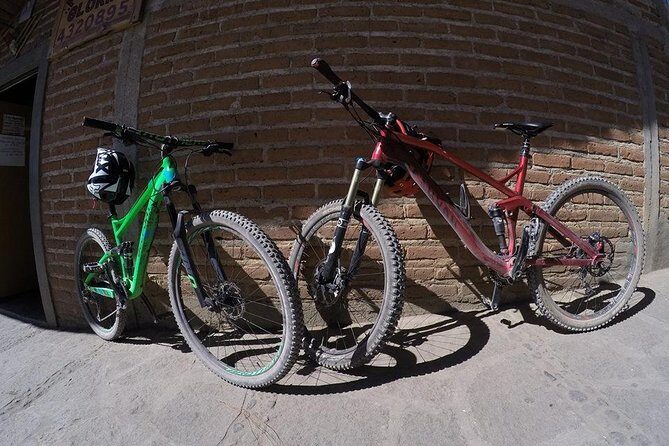 Mountain Biking Tour at La Primavera Forest - What Makes This Tour Stand Out?