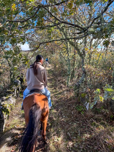 Mountain Horseback Ride, Lunch, Wine Tasting - Detailed Breakdown of the Itinerary