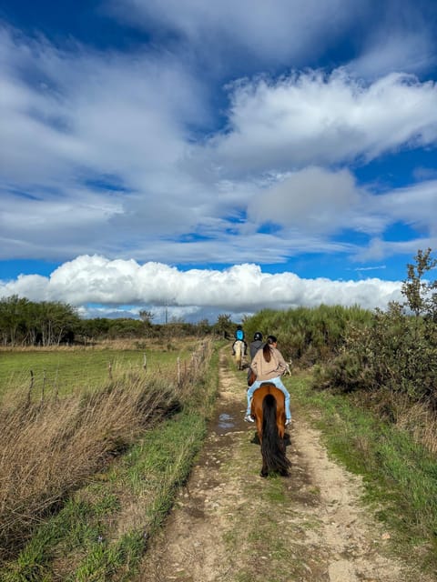 Mountain Horseback Ride, Lunch, Wine Tasting - Practical Details and Value
