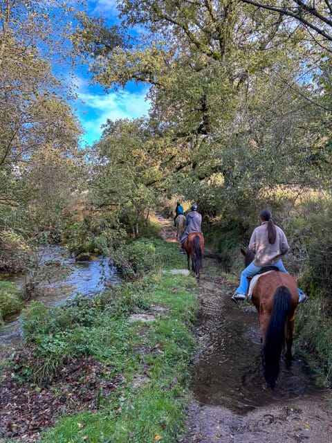 Mountain Horseback Ride, Lunch, Wine Tasting - Who Would Love This Tour?