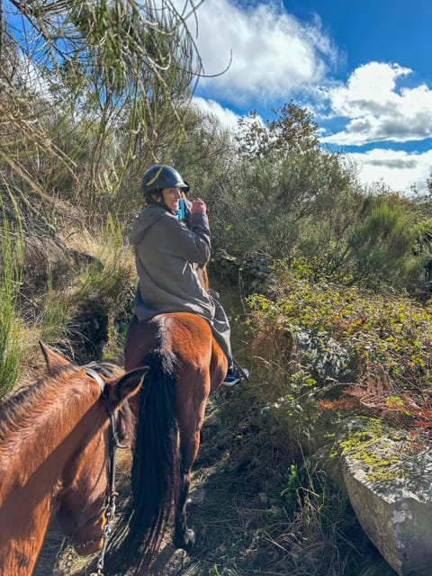 Mountain Horseback Ride, Lunch, Wine Tasting - The Sum Up