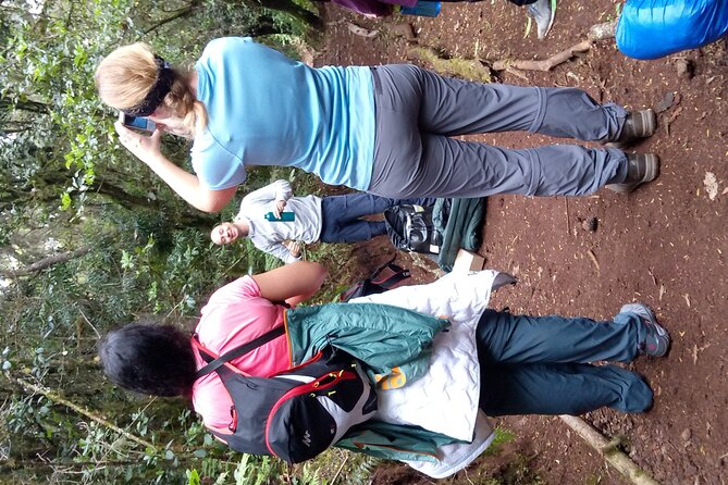 Mountain Kilimanjaro Day Hike - Itinerary Details