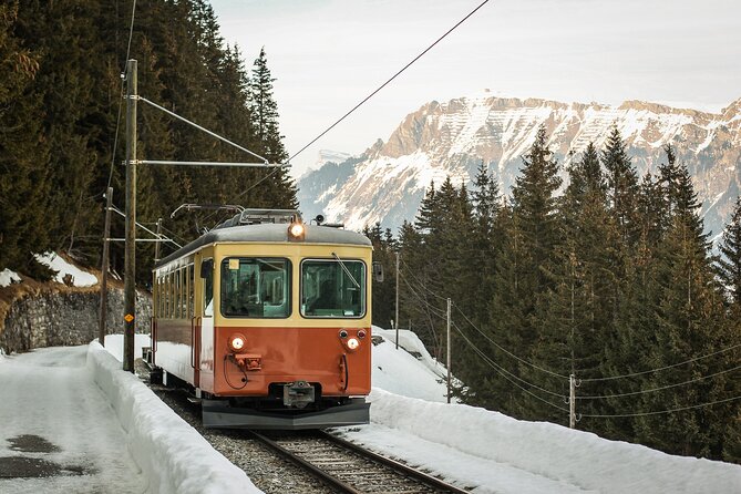 Mountain Majesty: Small Group Tour to Lauterbrunnen and Mürren - Pricing and Booking Information