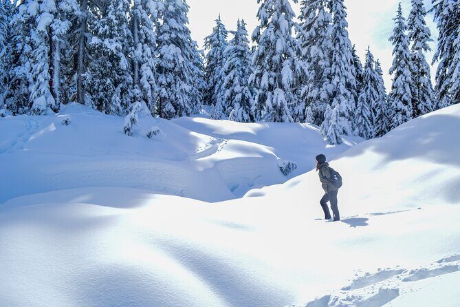 Mountain Snowshoeing & Photography - Key Points