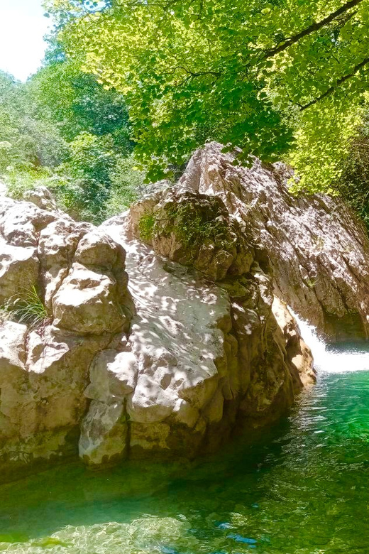 Mountain Train Experience: Hike & Mystic Forest (From Nice) - Train Journey