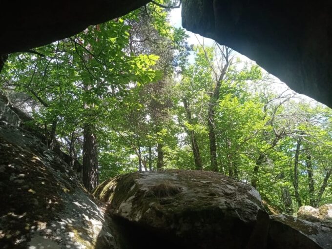 Mountain Train Experience: Hike & Mystic Forest (From Nice) - Return to Starting Location