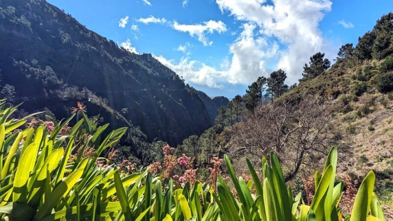 Mountain Wonders: Nuns Valley Half-day Private Jeep - FAQ