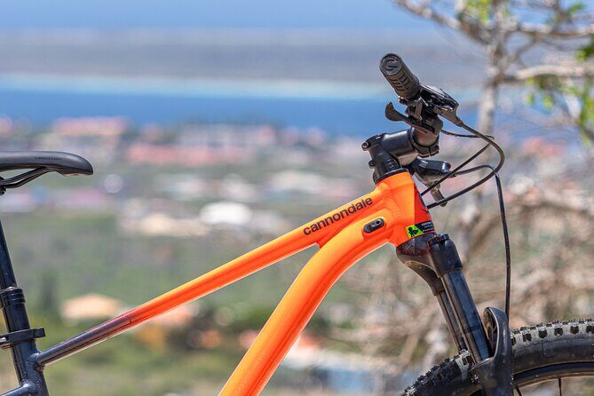 Mountainbike rental 1 week - Ideal for Different Types of Travelers