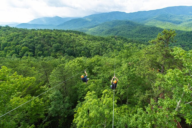 Mountaintop Zipline 2-Hours Activity - Recap
