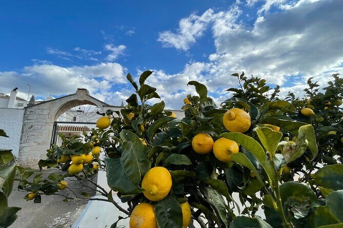 Mozzarella Experience - Key Points