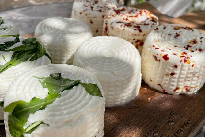 Mozzarella Experience - FAQ