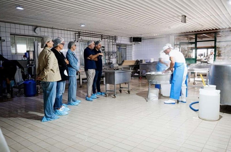 Mozzarella experience: discovering the art of cheese making - The Sum Up: Who Will Love This Tour?