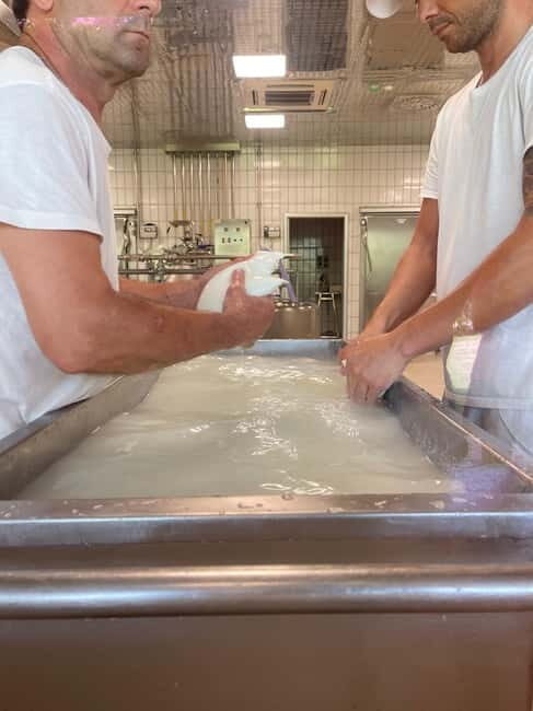 Mozzarella Experience: Tour + Lunch in Paestum's dairy - A Hands-On Taste of Italy’s Cheesemaking Traditions in Paestum